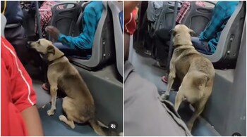 Screengrab from video shared by @whatsaroundbengaluru on Instagram.