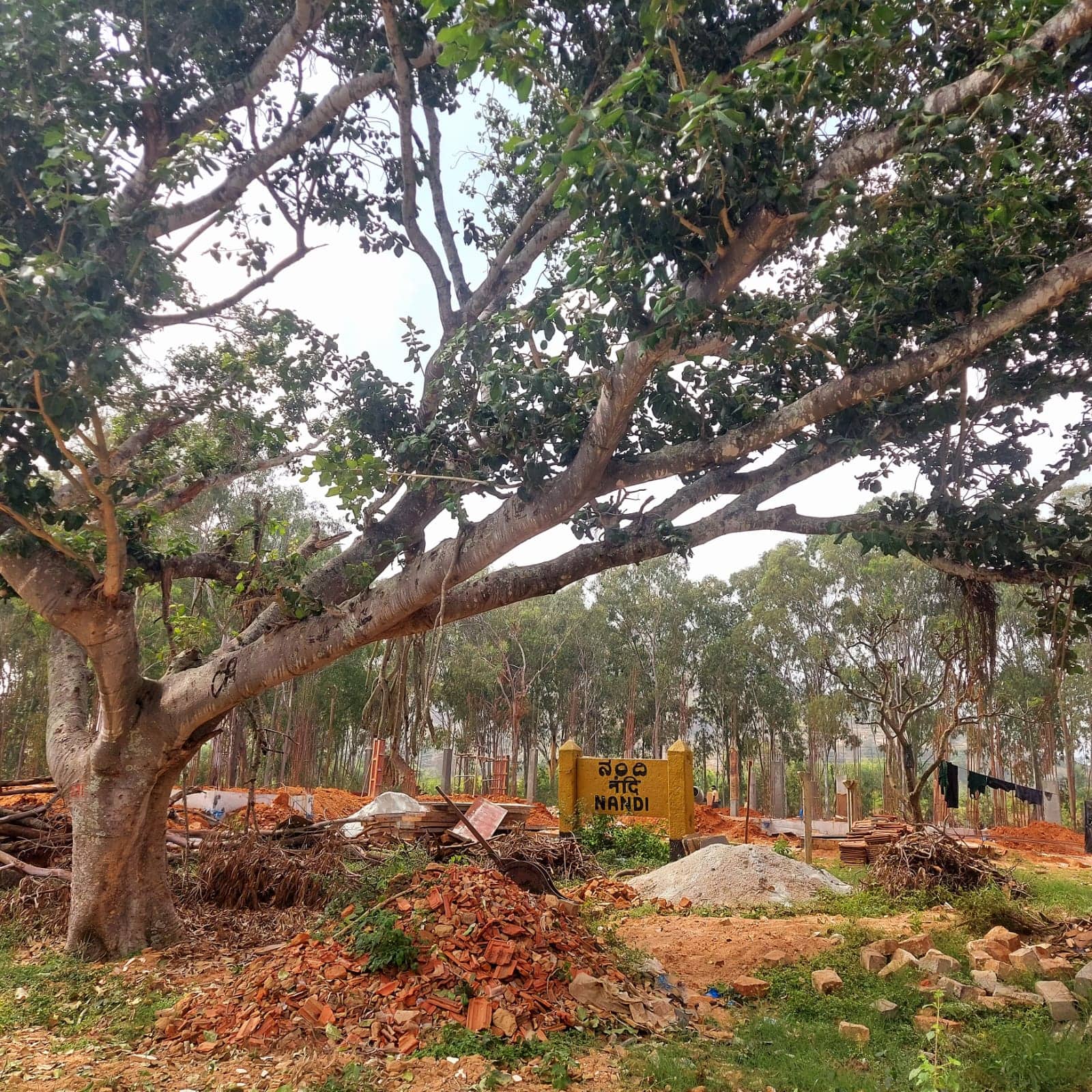 Restoration work at Nandi station and the construction of a rail museum are under progress. 