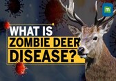 Zombie Deer disease outbreak raises concerns after COVID | Should you worry?