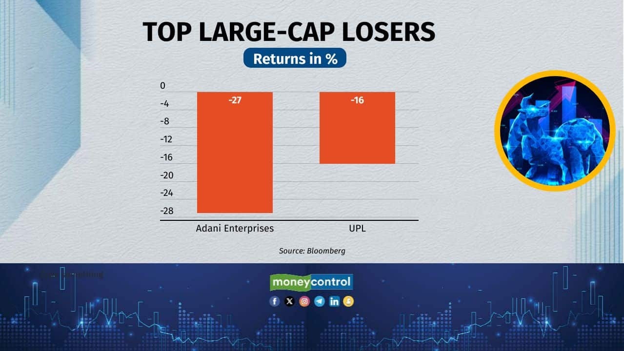 large cap losers