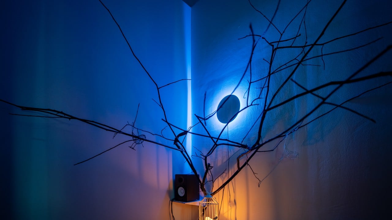 Politics and aesthetics joined hands at Serendipity Arts Residency 2023