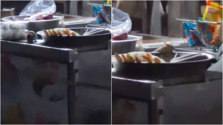 Rats feast on uncovered food at Madhya Pradesh IRCTC stall. Railways responds - Vimarsana News