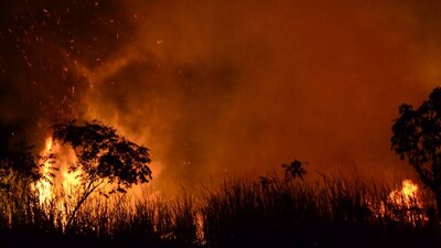 Beyond Carbon: Why COP must bring life cycle thinking into the climate conversation