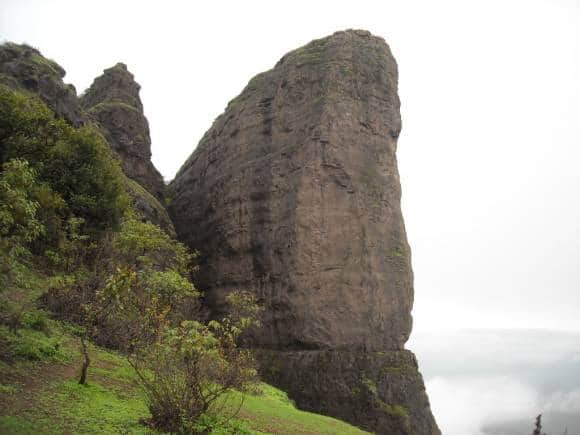 Dukesnose at Nagphani trek. (Photo: Wikimedia Commons)