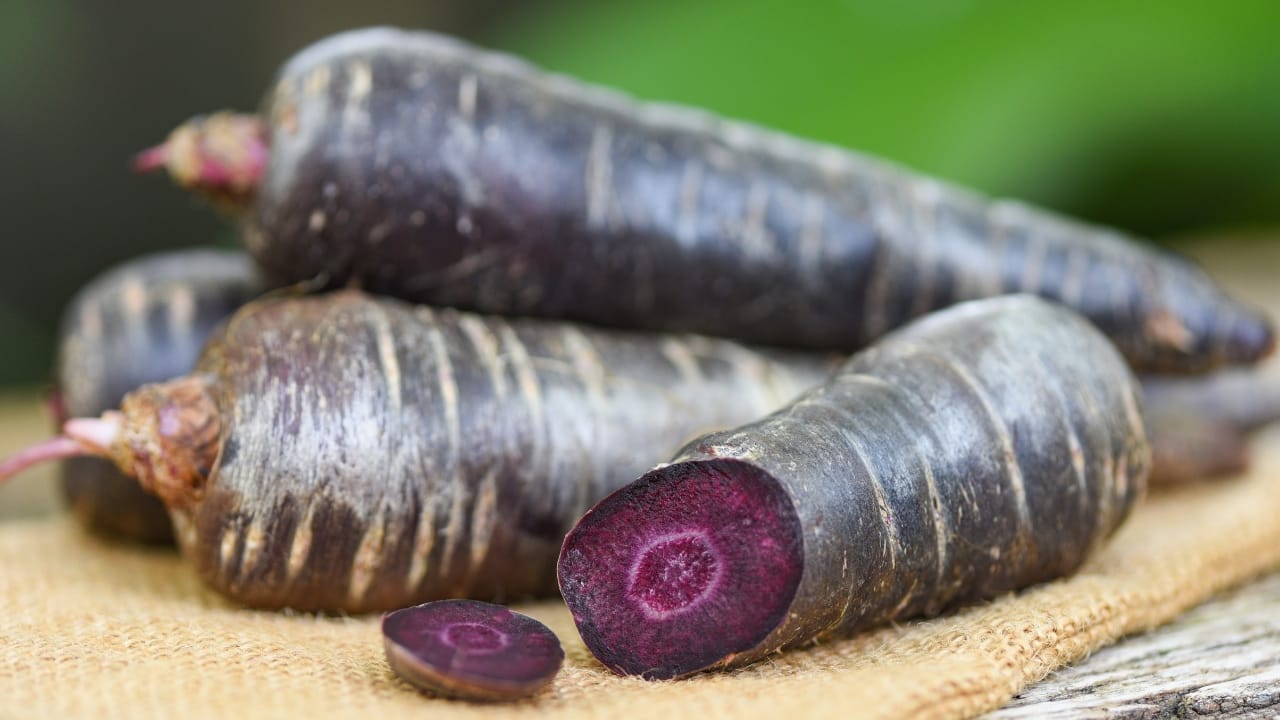Colourful carrots, powerful health benefits: Have you tried the black and purple varieties yet?