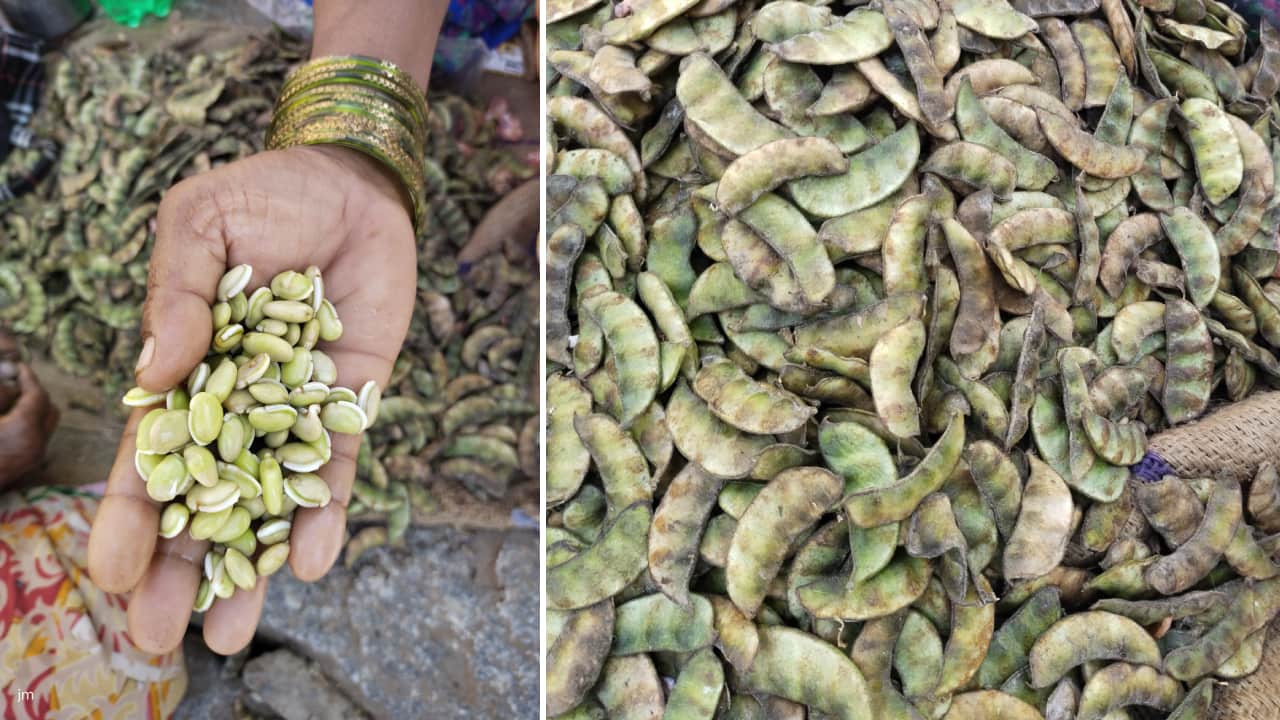 Bangalore can't get enough of Hyacinth beans: what you need to know about avarekai