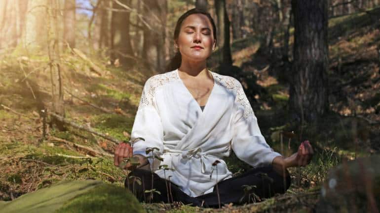 From ikigai to shinrin-yoku, washoku and more, these 10 Japanese habits will help you stay energetic - Vimarsana News