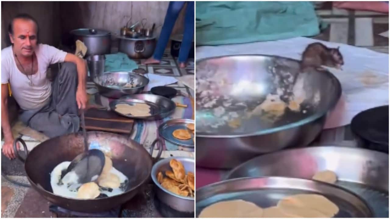 Rats scurry in kitchen, eat dough as man fries puris. Watch