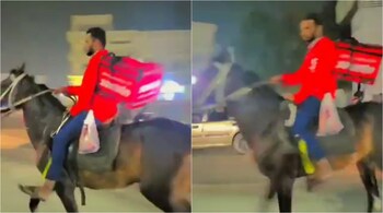 Zomato horseback