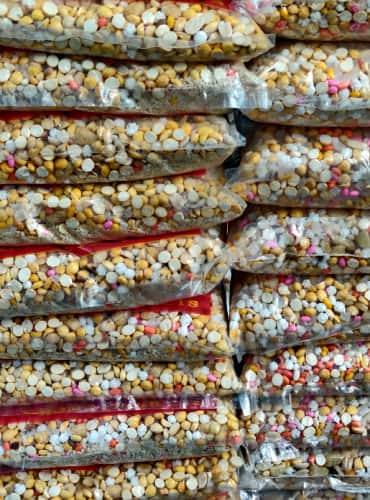 All ingredients must eventually be the same size. (Photo by Bindu Gopal Rao)