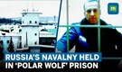What is Russia’s ‘Polar Wolf’ prison? The prison holding Putin’s critic Navalny