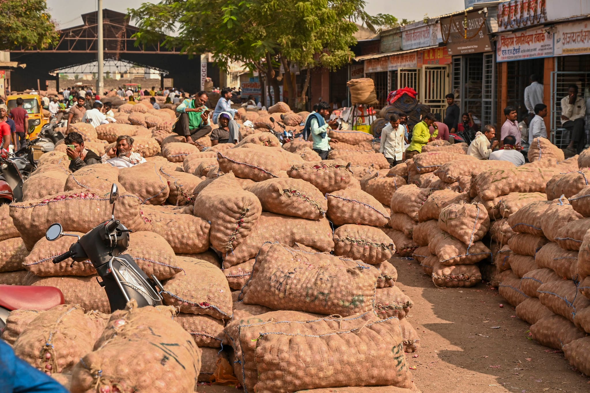 India’s humble onion has gone places in past decade — from Middle East to Europe