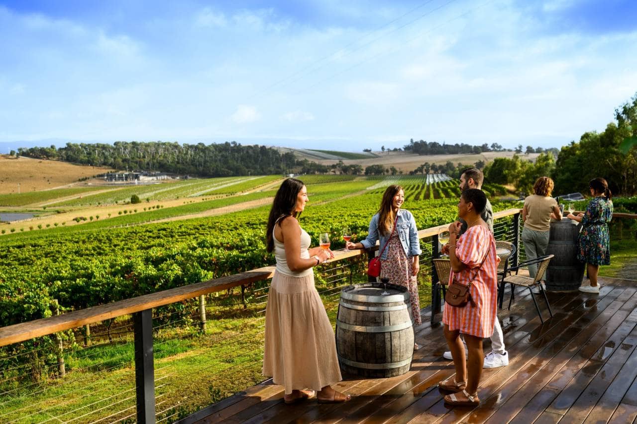 Yarra Valley wineyard, Melbourne.