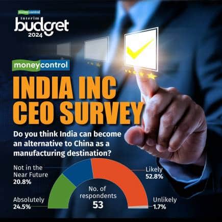 India Inc CEO Survey