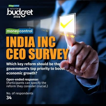 India Inc CEO Survey