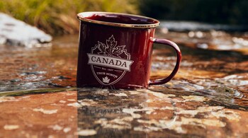 Under the new rules, each Canadian province and territory will be allotted a portion of the country’s total study permits, determined by population and current student intake. (Photo by Andre Furtado via Pexels)