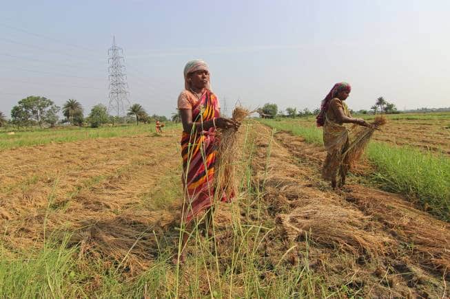 Lok Sabha polls likely to bolster rural consumption demand amid languishing sales of consumer goods - Vimarsana News