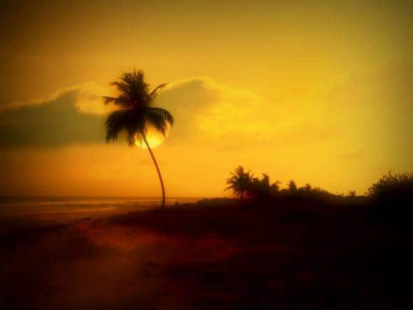 Kavaratti, Lakshadweep. (Photo: Rajesh KP via Unsplash)
