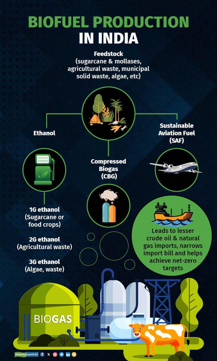 Biofuel production in India