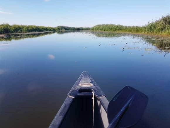 Canoeing in the Lower Oder Valley National Park. (Photo: Khursheed Dinshaw)