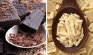 Chocolate day: White or dark, health benefits of chocolates go beyond a healthy heart, happy skin