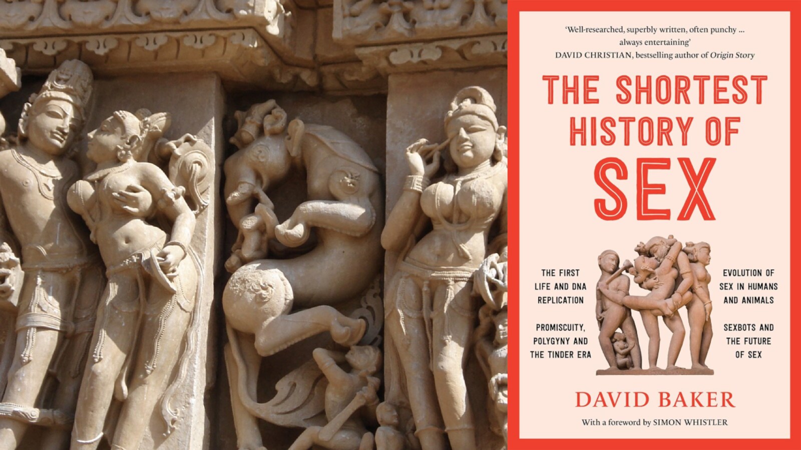 The Shortest History of Sex review: A new book on sex that will charm your  pants off