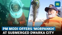 'It was a divine experience' | PM Modi said after he went scuba diving to offer prayers in Dwarka