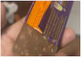 Hyderabad man finds worm 'crawling' in Cadbury chocolate: 'Is there a quality check...'. Video