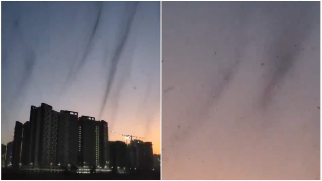 'Mosquito tornado' in Pune shocks internet. Watch viral video