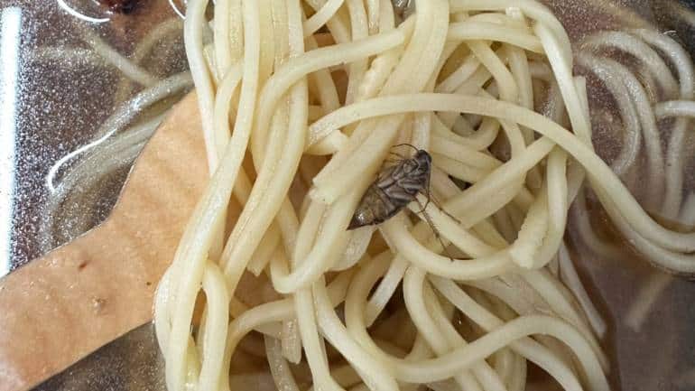 'Disgusting': Zomato customer finds cockroach in Japanese soup noodles, company responds - Vimarsana News
