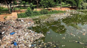 Bangalore water crisis: Large water bodies in Bengaluru have become heavily polluted due to industrial effluents and untreated sewage. (Photo credit: Wasque via Wikimedia Commons)