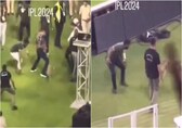 Dog that entered stadium during IPL match 'chased', 'kicked'. Animal rights activists condemn behaviour