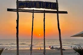 Blue Turtle, Goa. (Photo: Facebook)