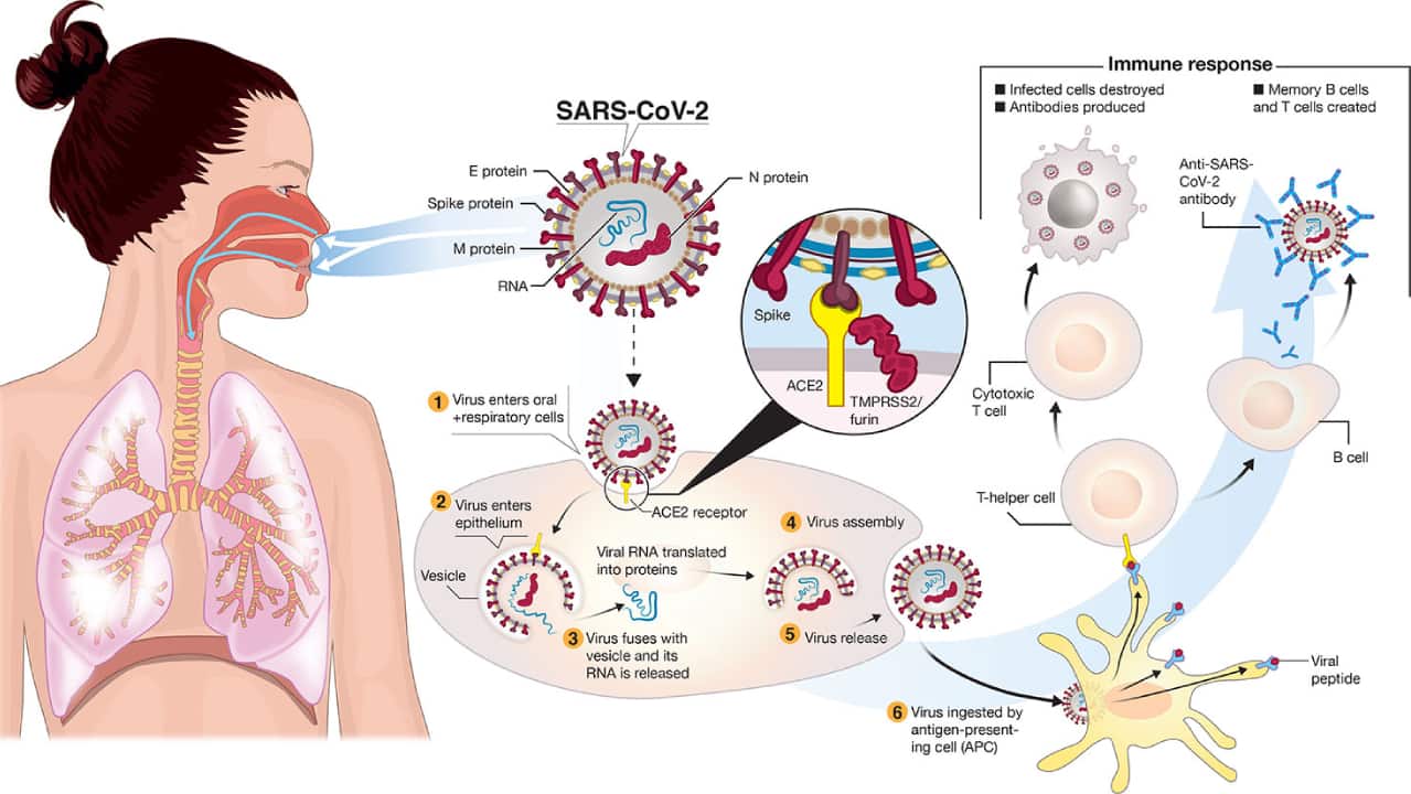 4 years of Covid pandemic: Our collective amnesia around Covid 19