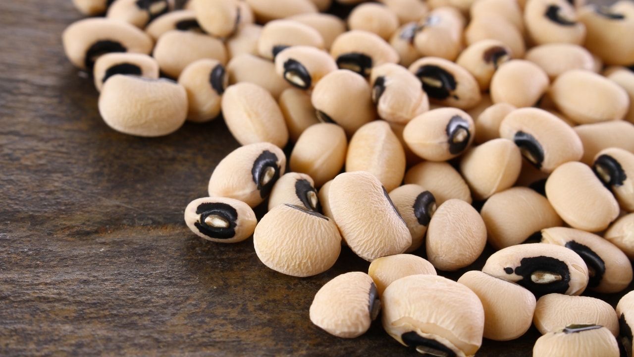 What Does Black Eyed Peas Mean