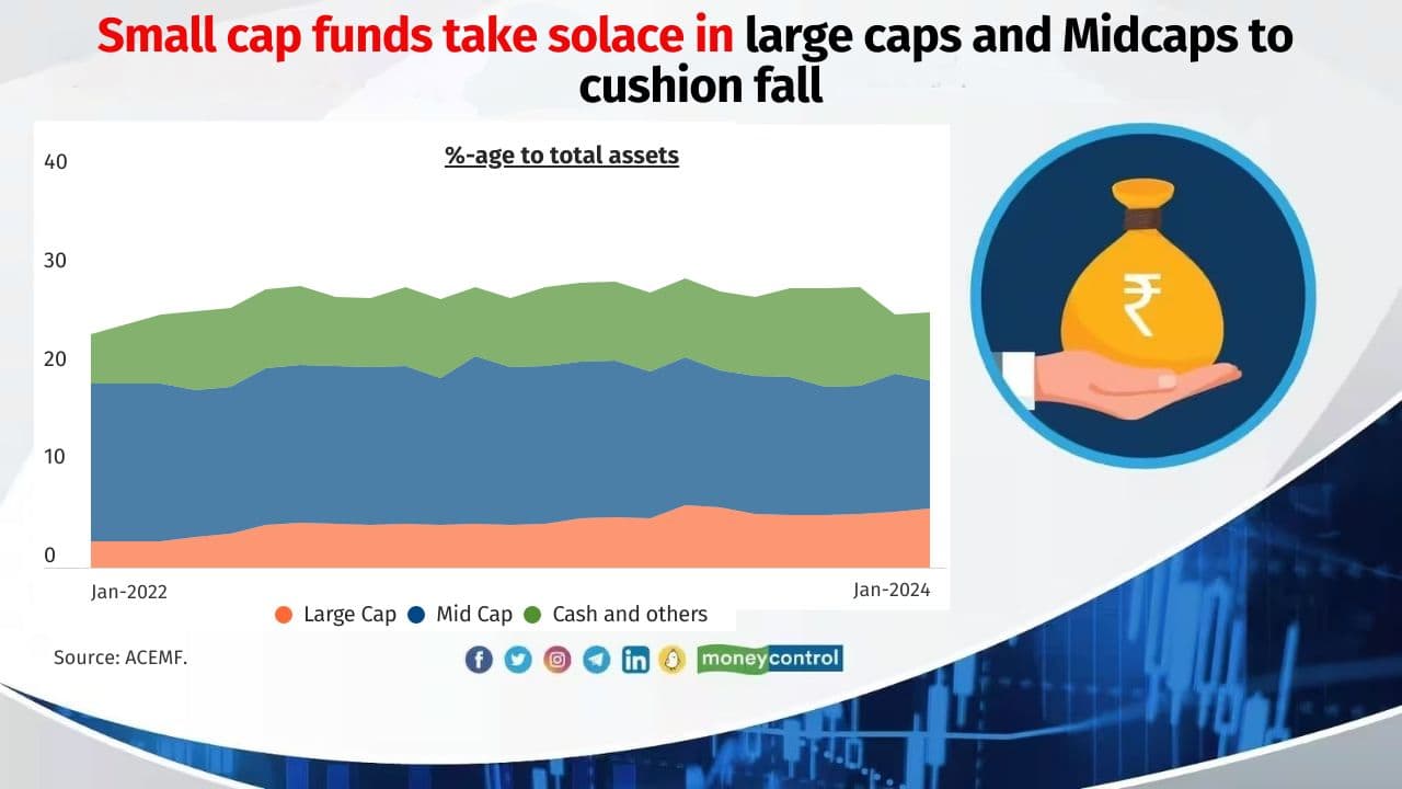 Smallcap funds bet on these largecaps to manage liquidity risk