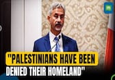 Israel-Hamas War: Here’s What Jaishankar Said On Palestine