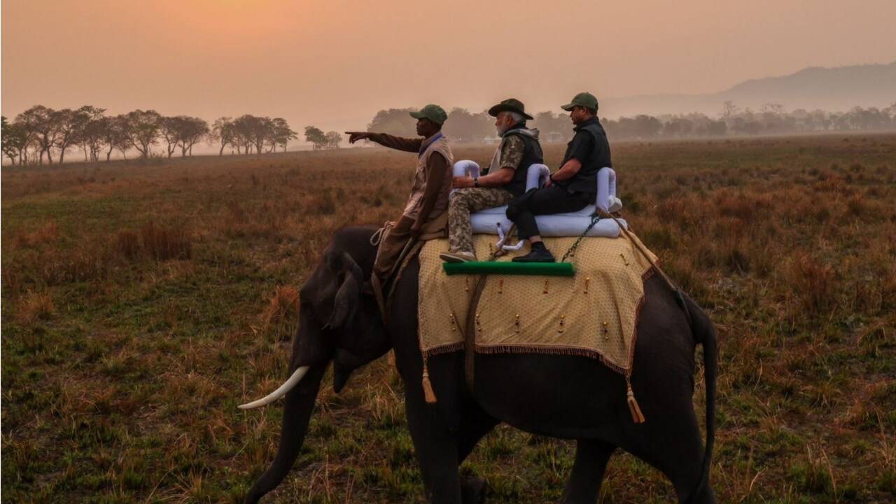 PM Modi elephant safari