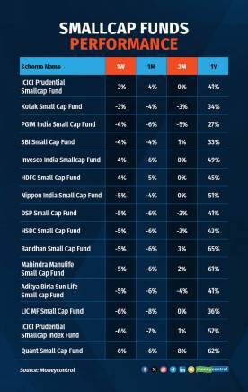 SMALLCAP FUNDS PERFORMANCE