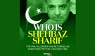Shehbaz Sharif becomes Pakistan Prime Minister for second time. His rise to power in pics
