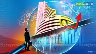 Moneycontrol Pro Panorama | Markets need their Vitamin D too, as disclosures make them stronger Moneycontrol Pro Panorama | Markets need their Vitamin D too, as disclosures make them stronger