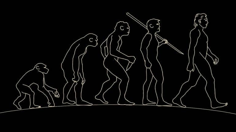 New York University researchers have a theory on how humans lost their tails - Vimarsana News