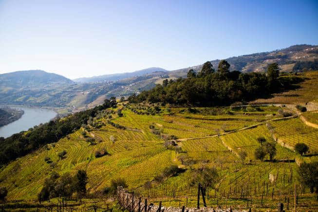 Douro Valley wine region, Portugal. (Photo: Eduardo Lages via Unsplash)