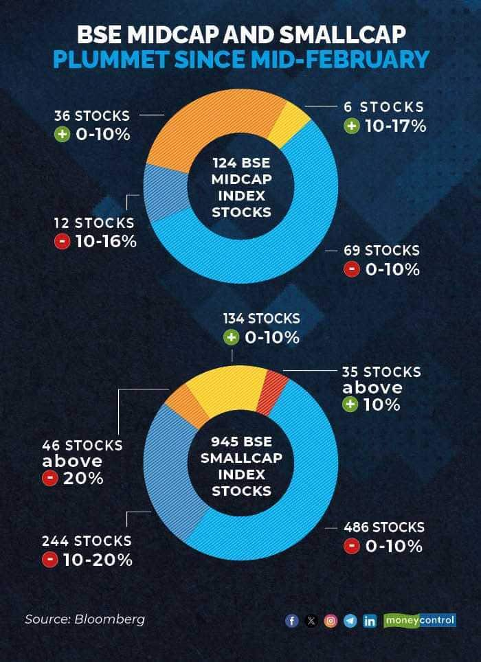 midcap