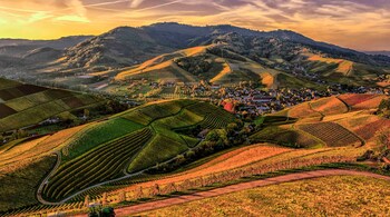 Embracing sustainable agricultural practices and seeking alternatives to chemical pesticides is crucial for the future of farming. (Photo credit: Christian Heitz via Pexels)