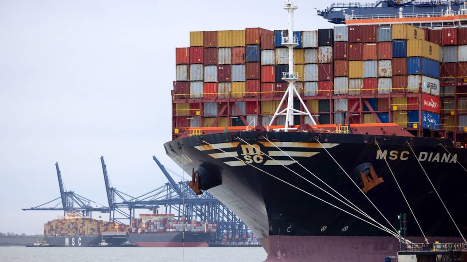 Mazagon Dock zooms 10% on robust Q4 results; other shipping stocks rally