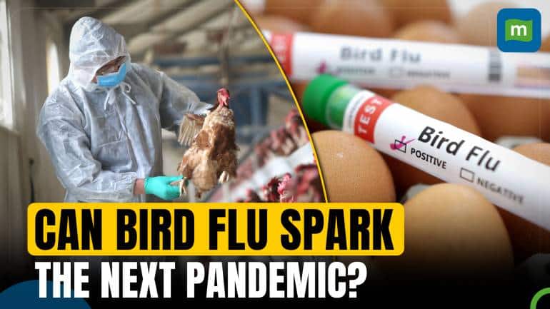 Can bird flu spark the next pandemic? Here's what doctors say regarding ...