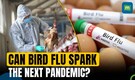 Can bird flu spark the next pandemic? Here's what doctors say regarding surge in H5N1 incidents