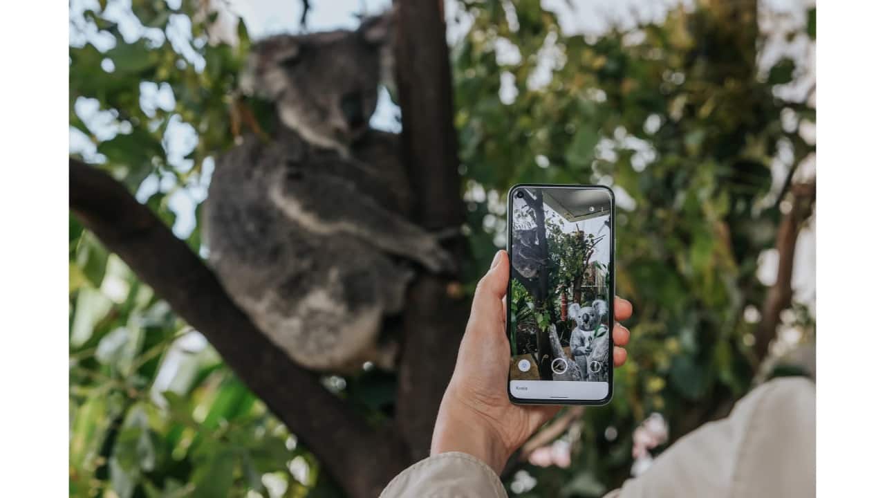 Google removes many 3D animals, other models from Search: All the details