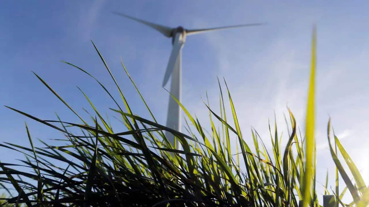 Sri Lanka approves MoU with Adani Green for development of wind power stations